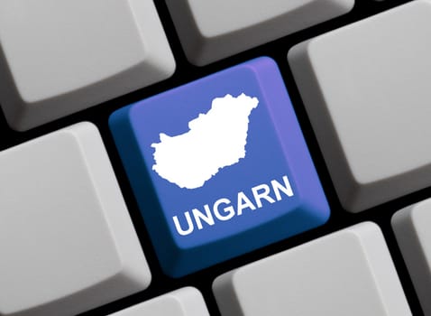 Hungary on the Internet