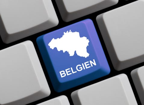 Belgium on the Internet