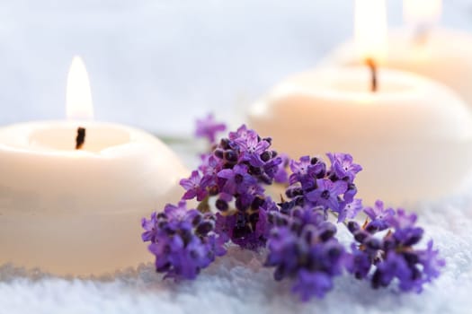 Lavender scent
