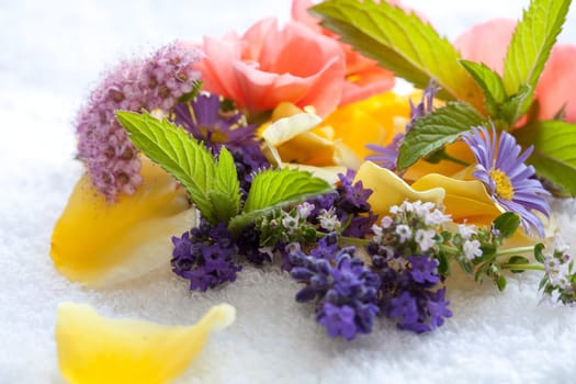fresh flowers,medicinal herbs