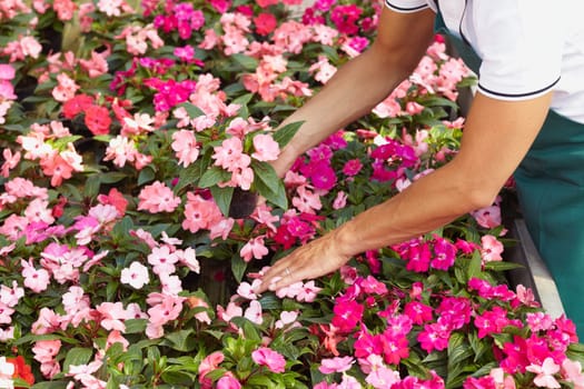florist
