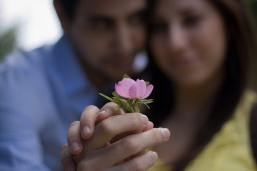 Closeup Of A Couple Holding A Flower