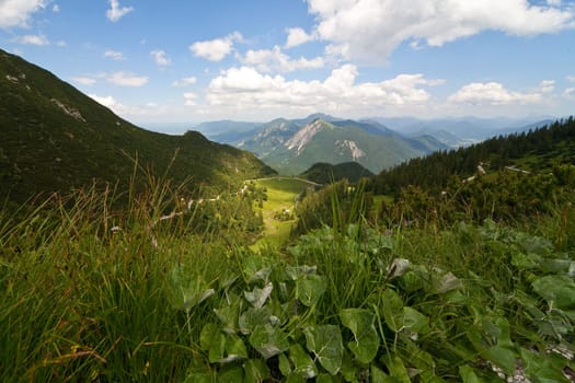 Bavarian Alps
