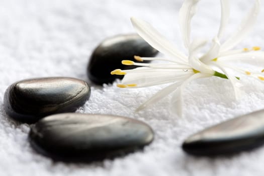 Massage Stones