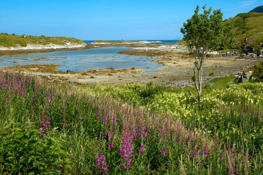 Coastal landscape Norway