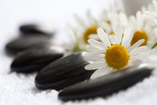 Chamomile and massage stones
