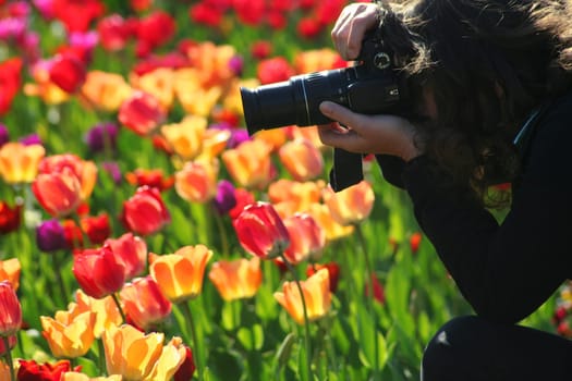 Nature photographer