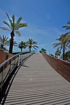 Wooden walkway to the sky
