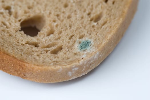 Moldy bread