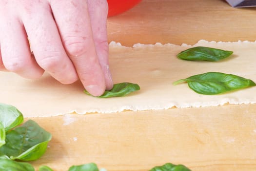 Laying basil
