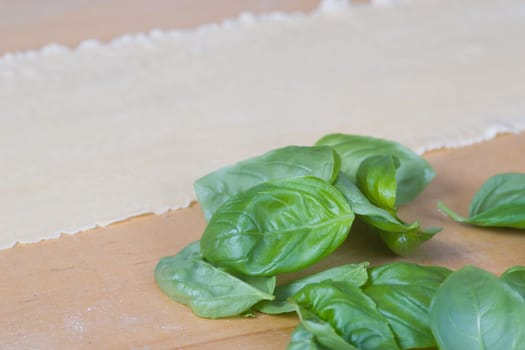 Basil with dough