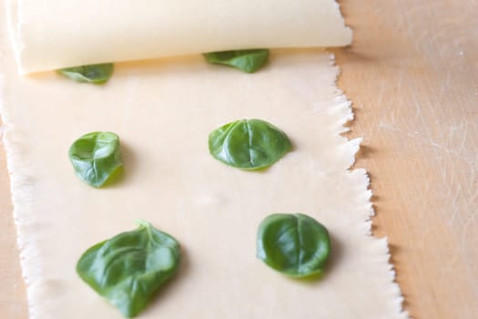 Pressing the basil