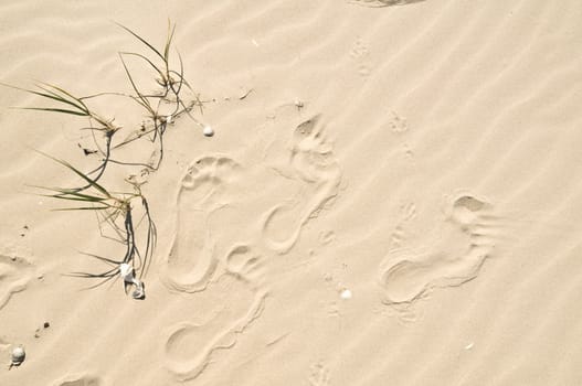 Traces of sand