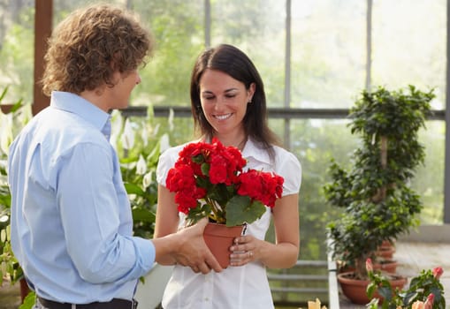 couple shopping in garden center