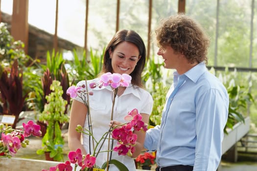 couple shopping in garden center