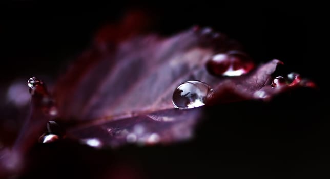 After a rainy day