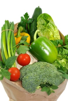 Vegetable bag