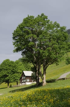 Niederurn Valley