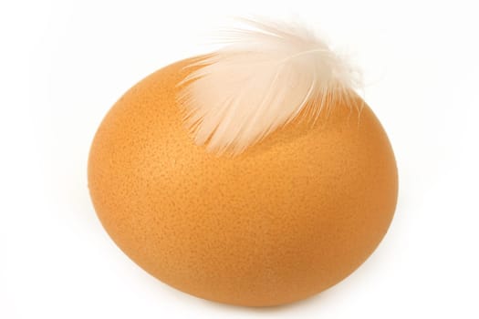 Egg