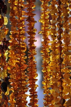 Amber Necklaces