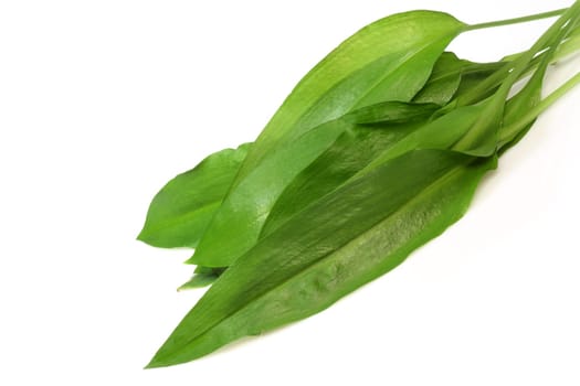 Baerlauch