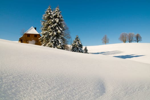 Winter hut