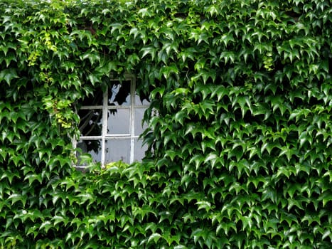 hidden window