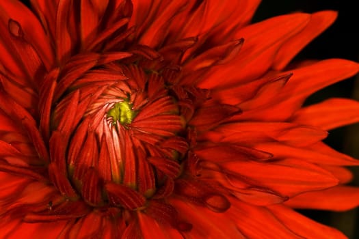 Fiery