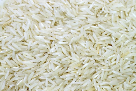 Rice Grains
