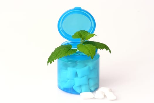 Peppermint Chewing Gum