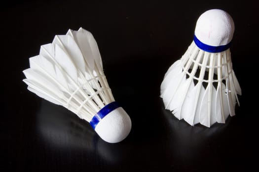 Badminton Bird