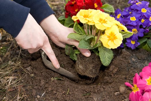 Garden Work