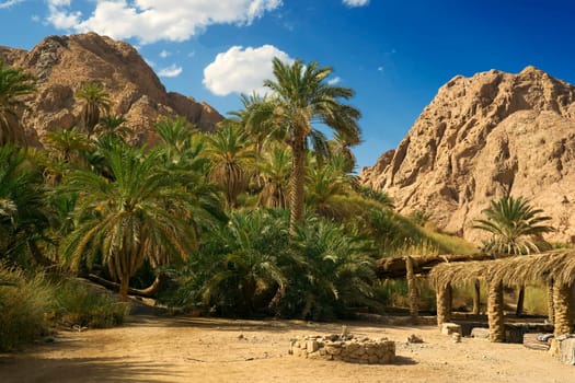 Ain Qnai 1