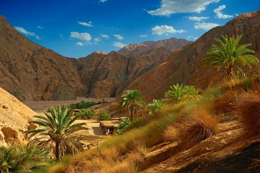 Ain Qnai 4