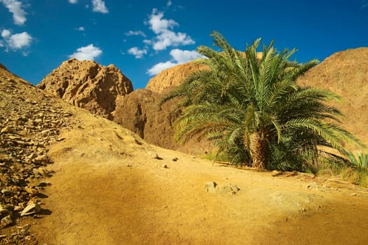 Ain Qnai 6