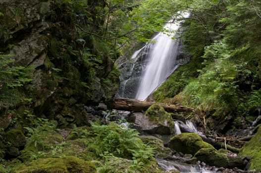 Ravenna Gorge2