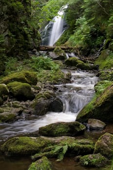 Ravenna Gorge1