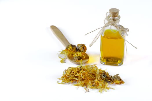 wooden spoon with dried calendula flowers, Calendula officinalis, with bottle of calendula essential oil isolated on white background and copy space