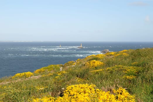 Wild Coast