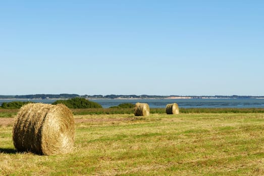 Harvest time