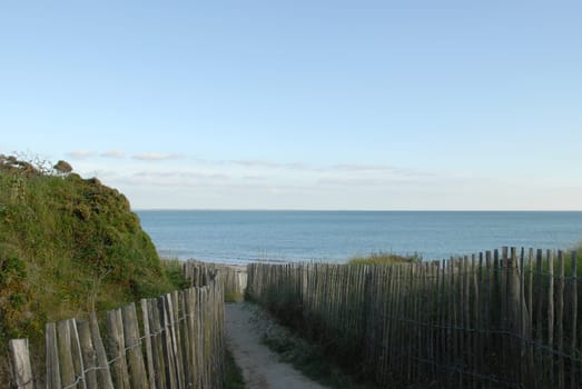 Dune Hiking Trail