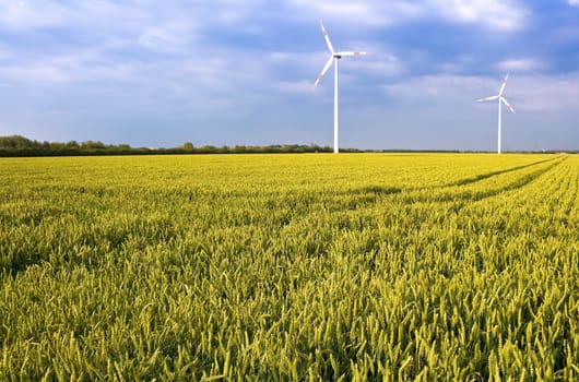 Green Energy