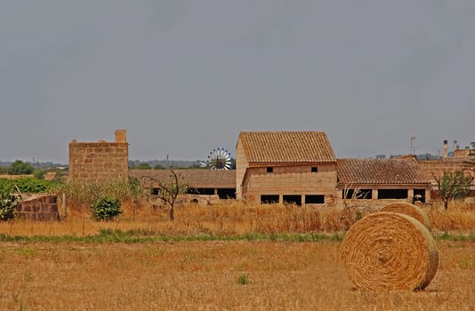 Hay harvest in Mallorca
