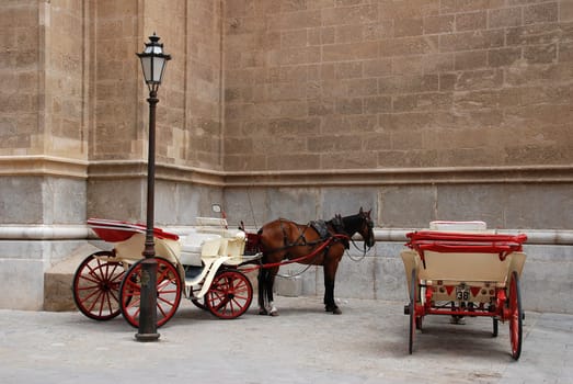 Carriage in Palma de Mallorca