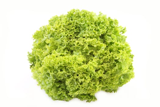Frisee salad