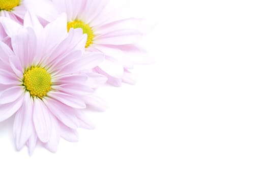 flowers corner
