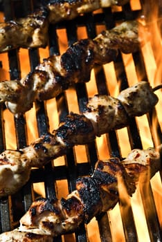 Flame Grilled