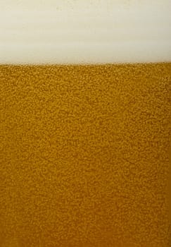 Beer close up