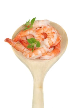 Prawns