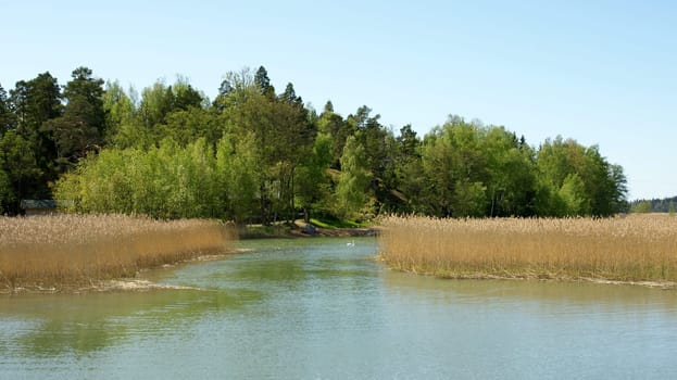 is especially beautiful when the birch trees show their fresh green between the islands south of Turku,Finland